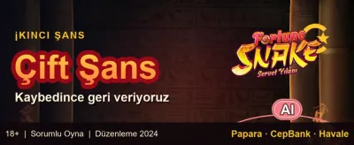 Popüler Slotlarda Ücretsiz Spin promotion