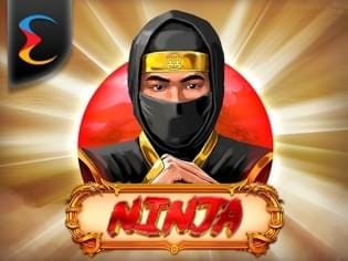 Ninja screenshot
